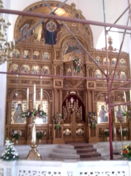 Catapeteasma Catapeteasma